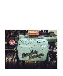 Wowear.shop34c45d630f 1